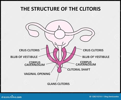 陰地位置|陰蒂:陰蒂又稱陰核、陰豆等（英文：Clitoris)。位於兩側小陰唇之。